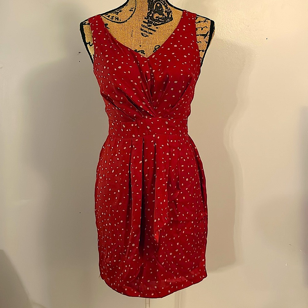 BCBG PolkaDot Dress